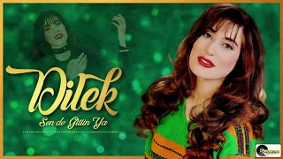 Dilek - Sen De Gittin Ya