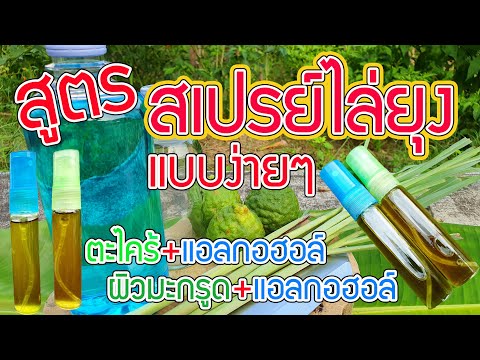 วิธีทำ สเปรย์ไล่ยุงแบบง่ายๆ ได้ผล 100 % mosquito repellent spray homemade