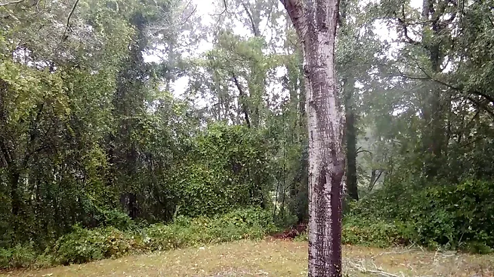 Little River, SC Hurricane Florence 09/25/18