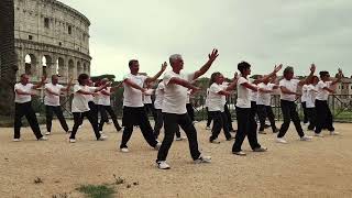 13 Form Yang Family Tai Chi