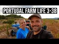 Vineyard Grape harvest with the Neighbours🍇 | PORTUGAL FARM LIFE S3-E38 🌞