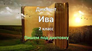 Диктант по русскому языку за 2 класс, Ива