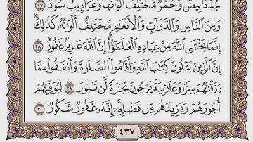 سورة فاطر مكتوبة / سعود الشريم