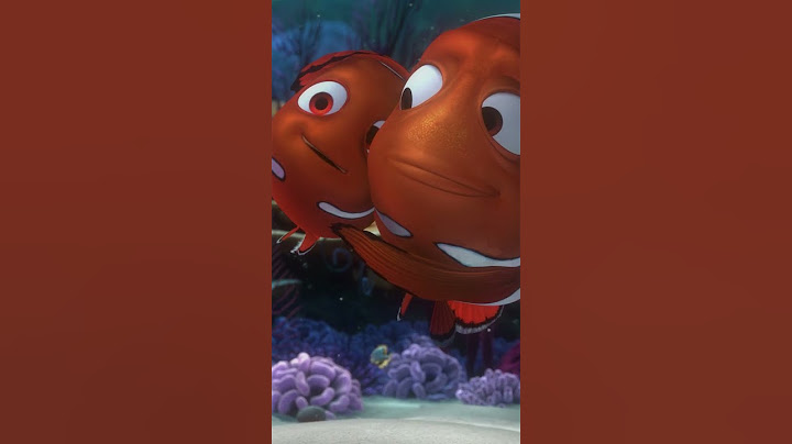 Nemo lupa sesuatu #findingnemo