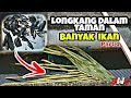 Tangkap ikan longkang depan rumah menggunakan bubu handmade  part 1  bikin bubu paling mudah