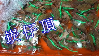 雨暫停的基隆崁仔頂螃蟹很多Taiwan Keelung wholesale ... 