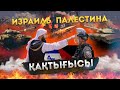 Израиль мен Палестина арасындағы саяси қақтығыс / Асхат Қасенғали / Есен Елеукен