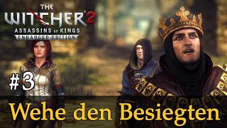 #3: Wehe den Besiegten  Let's Play The Witcher 2 (Blind / Schwer / Deutsch)