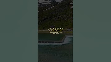 تلاوة خاشعة بصوت القارئ رعد الكردي | حالات واتس اب قران | ومن يتق الله يجعل له مخرجا