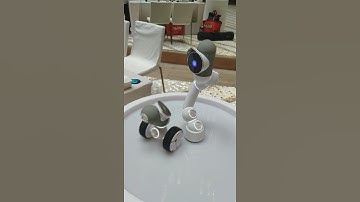 why you need a clicbot? Clicbot is an educating and entertaining and cute robot.