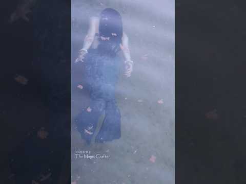 A selkie seen