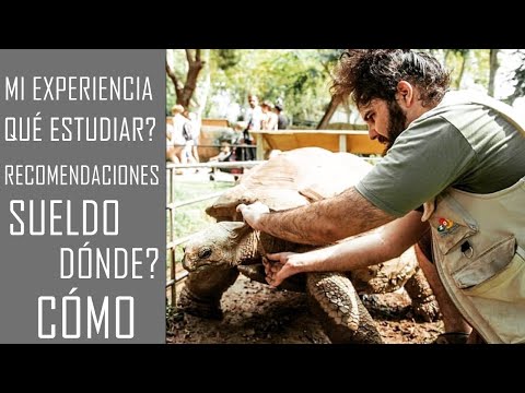 Video: Cómo aclimatar adecuadamente nuevos peces en el acuario