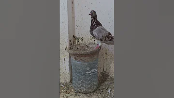 ٢٨ سبتمبر ٢٠٢٤ New Home 