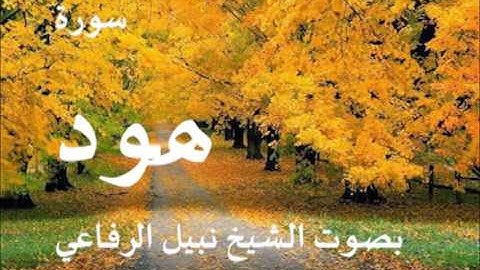 سورة هود بصوت الشيخ نبيل الرفاعي