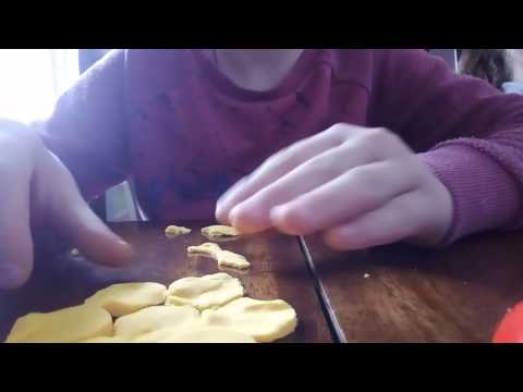 გენეტიკური ქვიშა