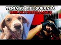 KENIA A LA CALLE LA ADOPTAN Y LA TIRAN A LA CALLE - RESCATO PERROS