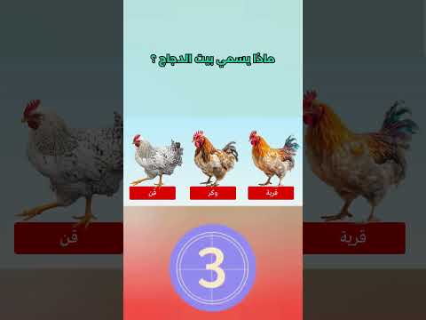 مذا يسمي بيت الدجاج إختبر معلوماتك في سؤال  