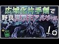 【MHWilds】広域化片手剣で野良：歴戦王アルシュベルド【モンハンワイルズ】