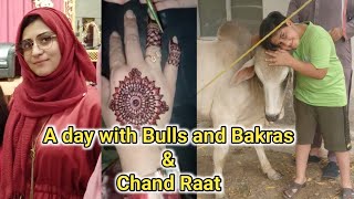 chand Raat vlog | A day with  our Bakra  | Eid UL Azha 21