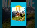 Must Know Canva Hacks for Designers