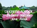 Лотос. Свойства и Применение. Рецепт Маски для Лица | Tonya Ogino