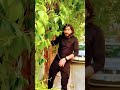 عبدالحي الشامي احلى شريكة