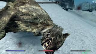Skyrim Mega Perfectly Modded ch040