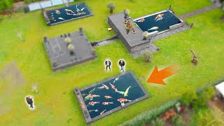 2 NEW 14,000 GALLON KOI PONDS! AMAZING KOI COLLECTION
