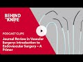 Journal review in vascular surgery introduction to endovascular surgery  a primer
