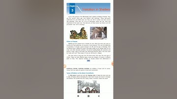 ClassV, L-3, Variations in shelter part-1