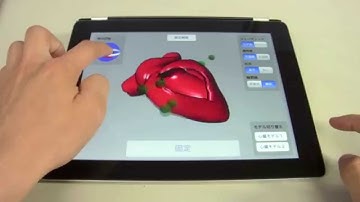 A Multi-touch Interaction System for Better Understanding of the 3-dimensional Heart Structure