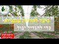 הדלייה וגיזום עגבניות - כמו המקצוענים