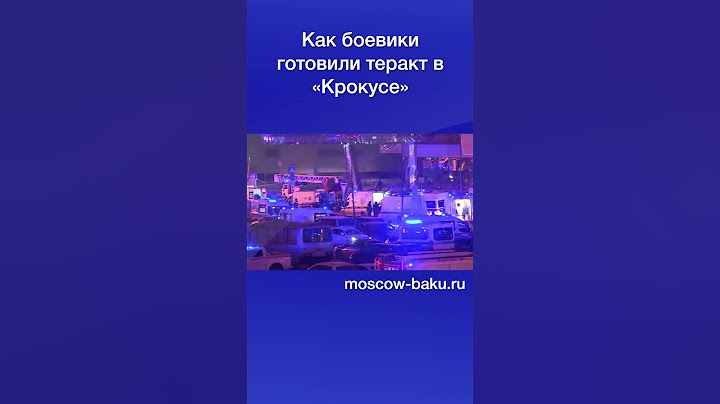 Как боевики готовили теракт в «Крокусе»