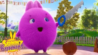 Crack the Nut | Sunny Bunnies | Cartoons for Kids | WildBrain Zoo