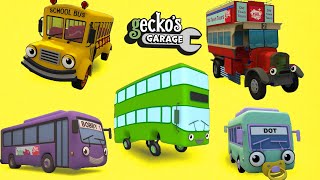 Counting Five Big Buses Geckos Garage Educational Videos For Toddlers Buses For Children