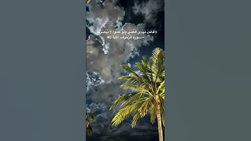 #quran #ناصر_القطامي #لايك #اكسبلور #المصحف #القران_الكريم #مقاطع_دينية #قارئ