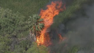Chandler brush fire breaks out