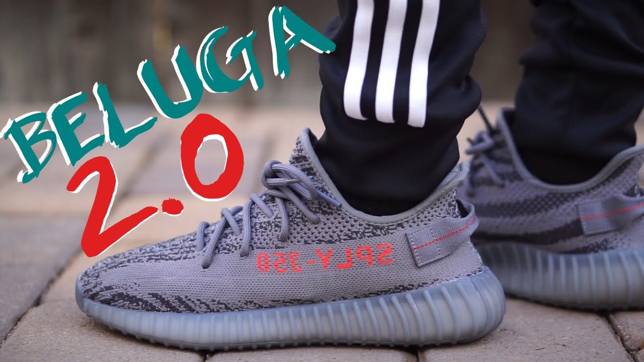 beluga 2.0 on feet