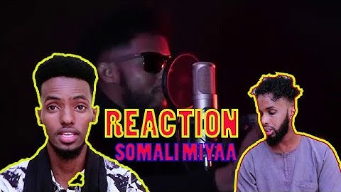 GULLED SIMBA SOMALI MIYA OFFICIAL VIDEO 2020 ||REACTION ||