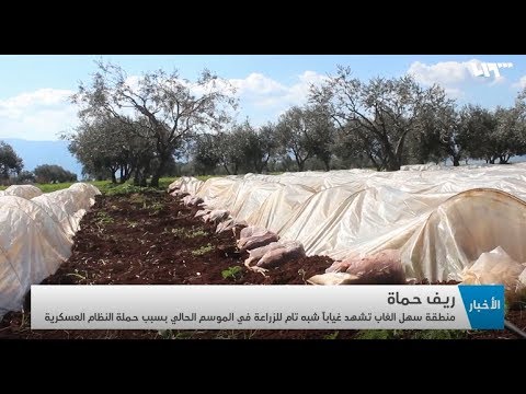 غياب شبه تام للزراعة في سهل الغاب لماذا