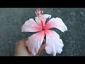 Gumpaste Hibiscus Tutorial