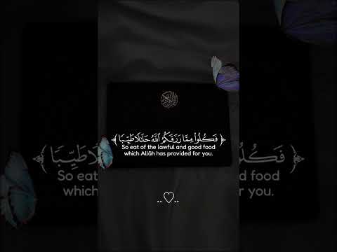 استخدموا الصوت ولاتنسوا لايك اشتراك لايك   القرآن الكريم  ابلور تصميمي