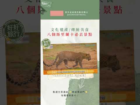 斯里蘭卡必去的八大景點懶人包｜斯里蘭卡文化三角｜錫吉里亞獅子岩、康提佛牙寺｜雅拉野生國家公園｜茶園火車｜#斯里蘭卡 #斯里蘭卡特色 #斯里蘭卡景點 ｜斯里蘭卡必去