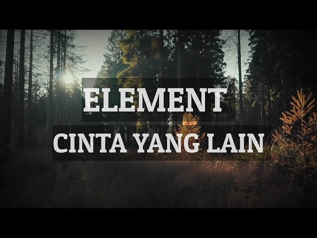 Element - Cinta yang lain | Lyrics class=