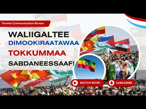 Waliigaltee Dimokiraatawaa Tokkummaa Sabdaneessaaf