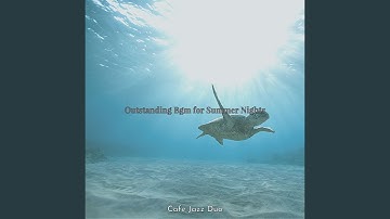 High-class Backdrops for Summer Holidays