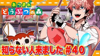 赤城ウェン の配信のサムネイル画像