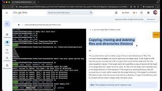 Creating, Modifying and Removing Files and Folders in Linux Wealth