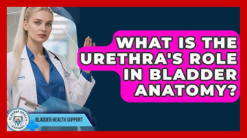 What Is The Urethra