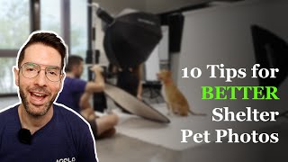 10 Tips for better Shelter Pet Photos